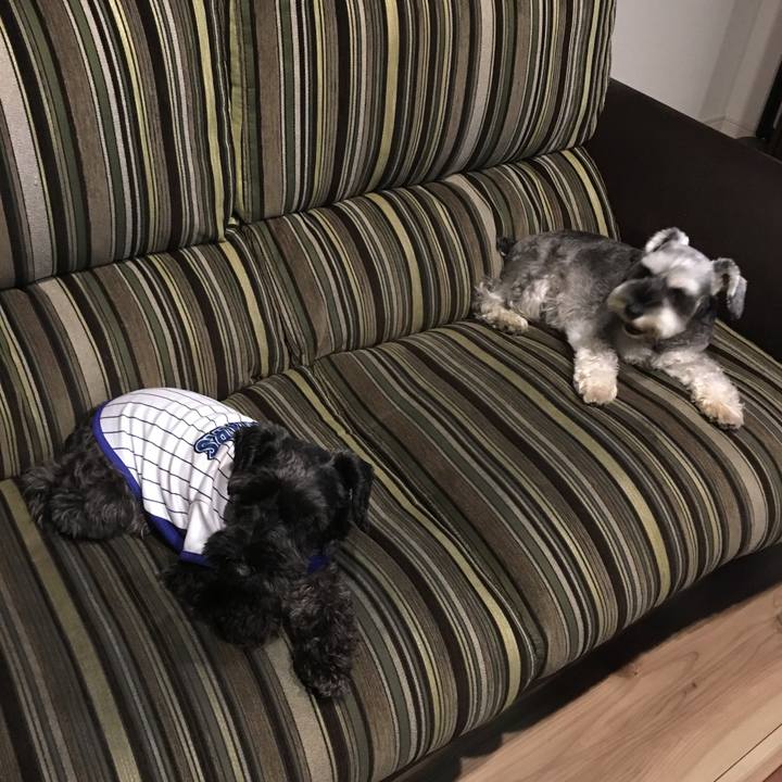 A3c57d4c 9097 4595 b708 aebfc343c203