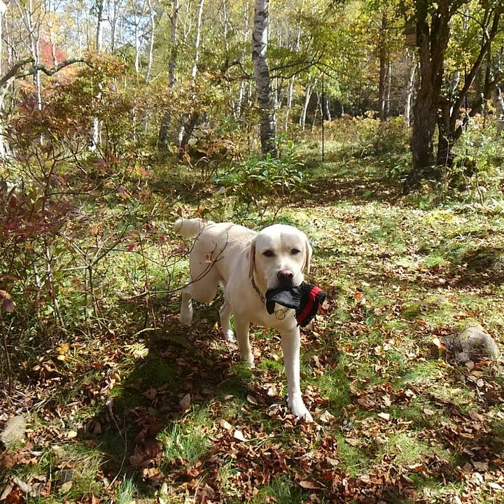 A3c58b54 343a 4364 9e2c 815619a5d2c4