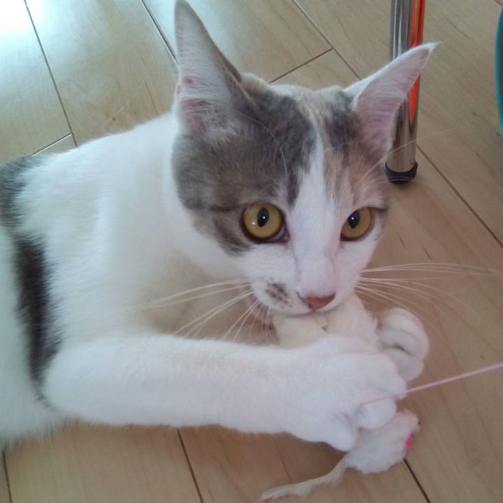 A3c6464c 4b6d 4897 8acf de62fae07c3d