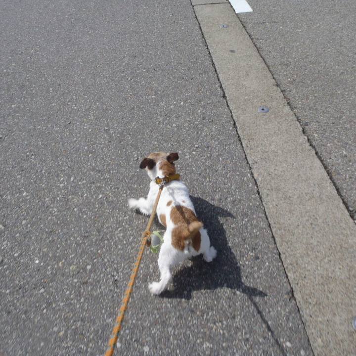 A3c66028 baeb 4b6e 87a6 83d88f592b3f