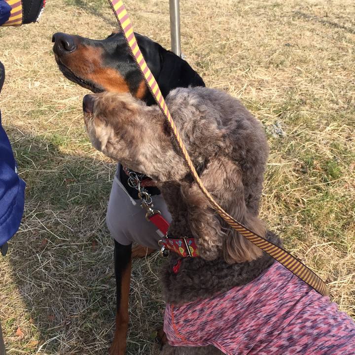 A3c68200 e674 4a45 b987 d8478c73d3a6