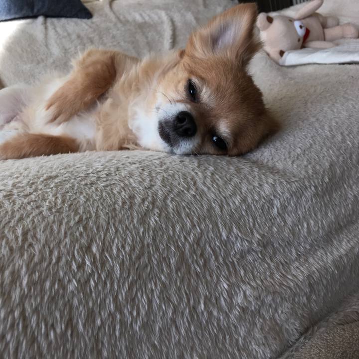 A3c6bb9d c130 45e1 9b7c 7e4934d225a9