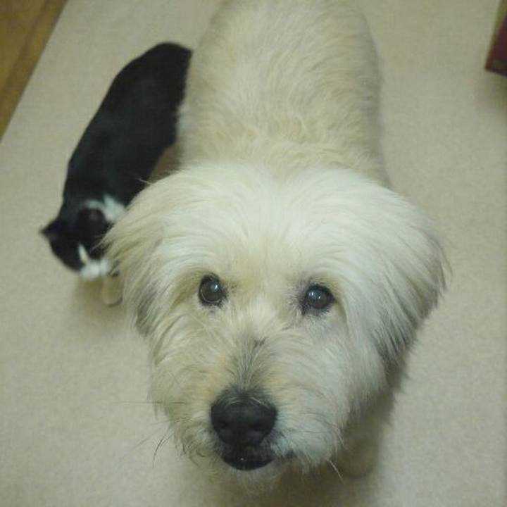 A3c7a5d2 46f2 41d9 8ebf 0e5d63e034f2