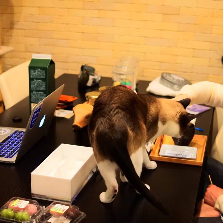 A3c82674 27f2 4be6 b61c 99bd1b32ef13