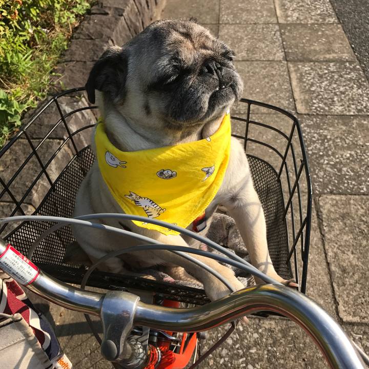 A3c86623 88e1 4ddc bc87 1d5f5bf2a49c