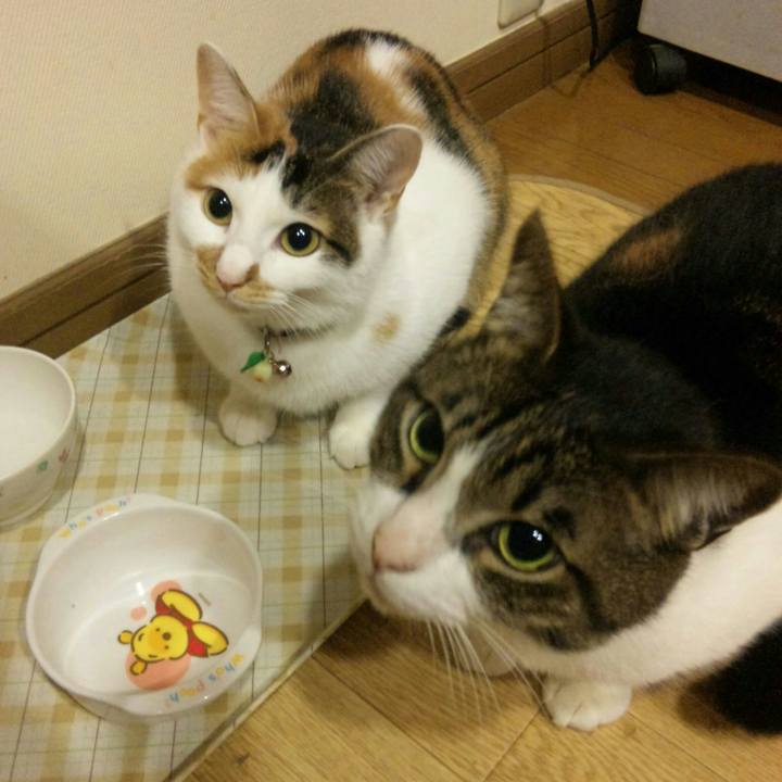 A3c8db43 3d3d 4757 b94d ebcf4a5fa742