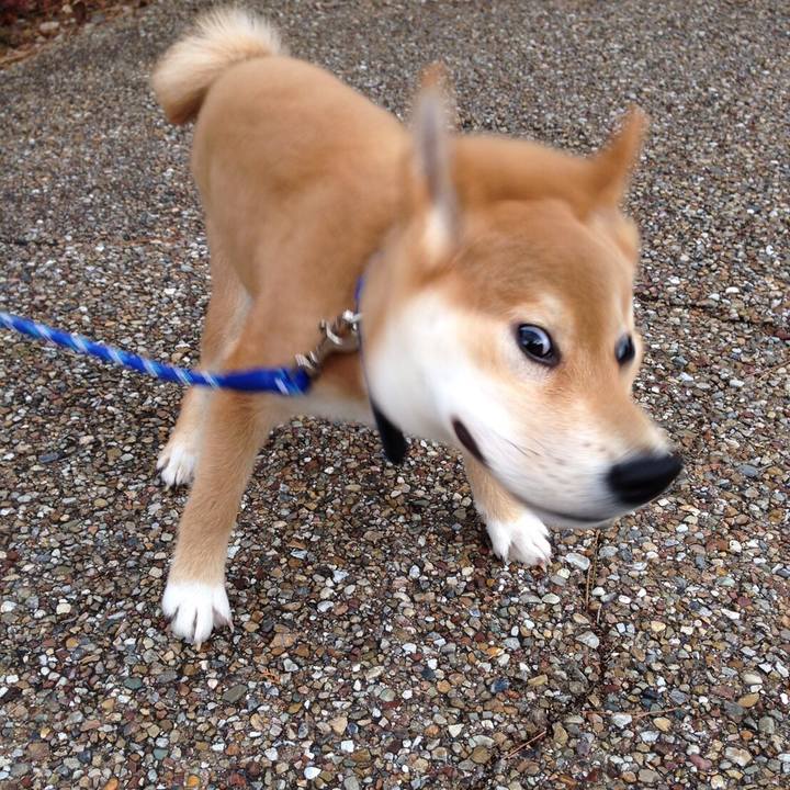 A3c90ace d25f 440f 8f88 a32c409b4f20