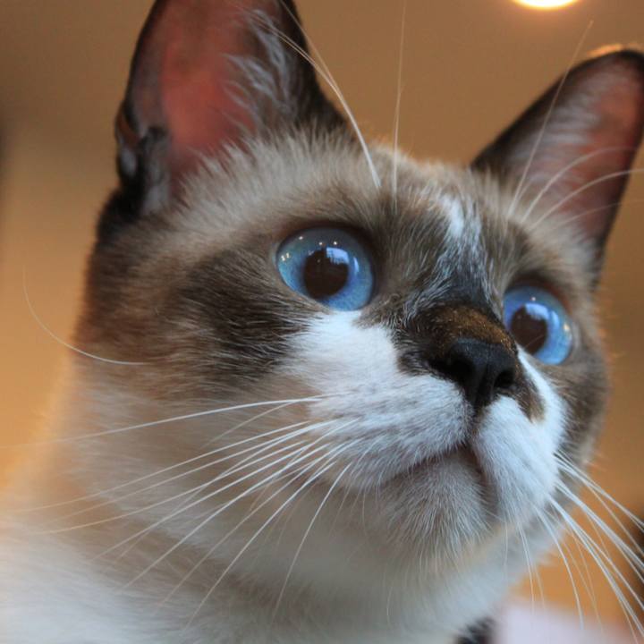 A3c9eb4d 3d23 466d a5fc da772e08c545