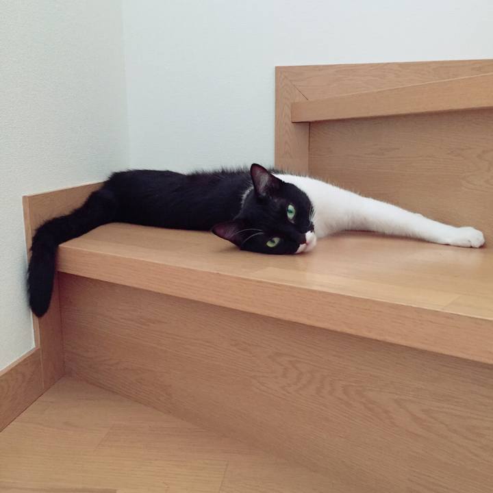 A3ca0bee 2233 489e b3e1 a2cea5c36b7d