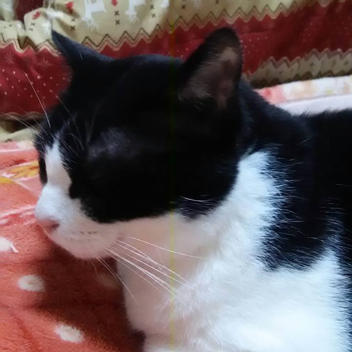 A3ca8e88 1039 4087 9aaa 4c2ba304f25e