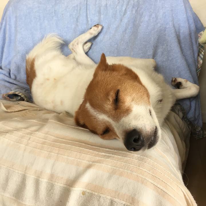 A3cad16c c46a 4c96 8bc8 2bfc726db8a9