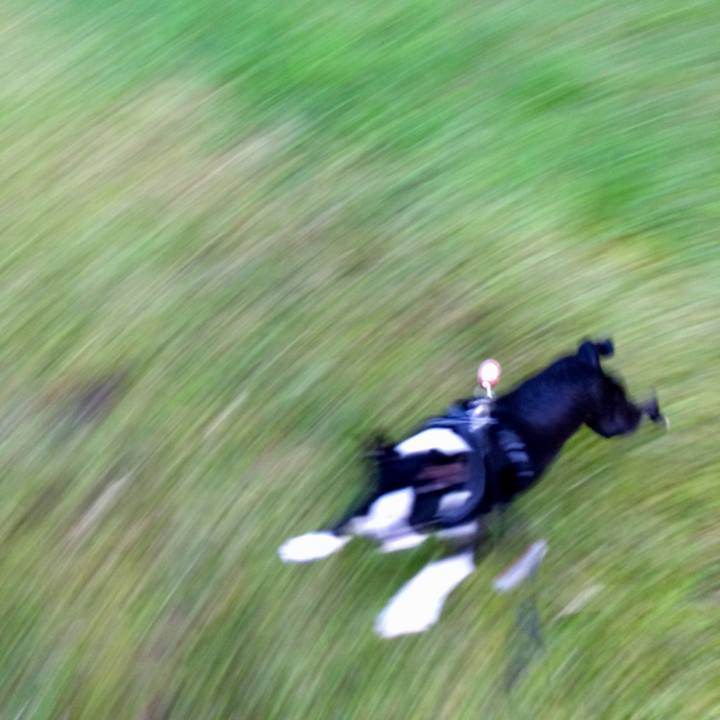 A3cb4ef8 ee83 4b04 89f7 1041aef2abfa