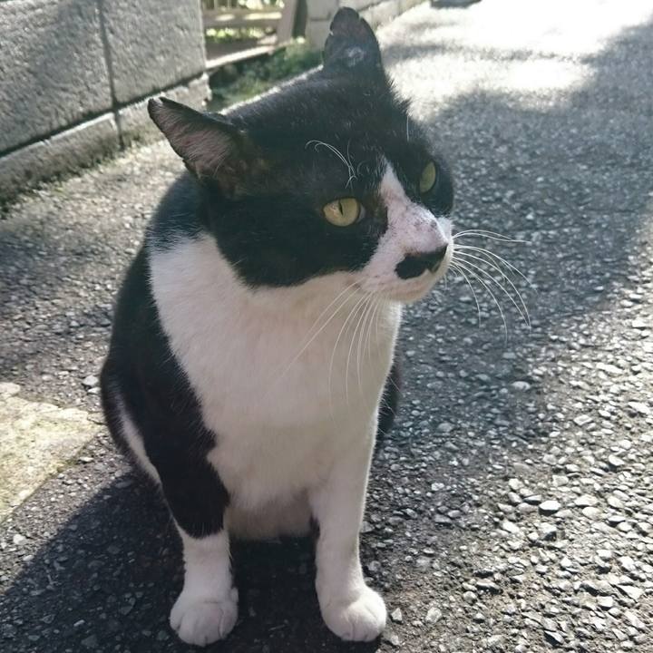 A3cb66ca a55b 4c5e 9fc1 0074f4a11df0