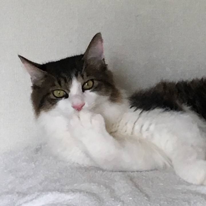 A3cced6a 817c 475c 8f05 5767ecb7c4bf