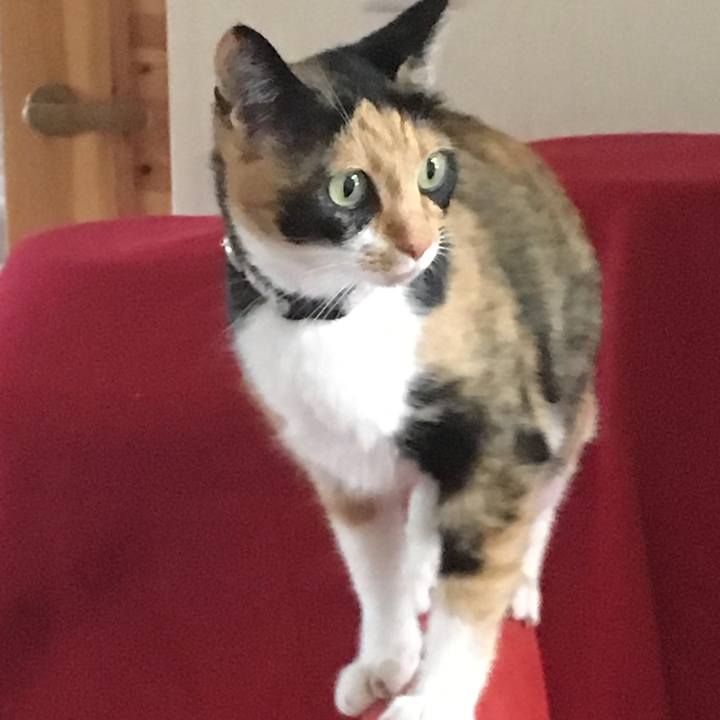 A3cd1549 7046 4fcd 88b2 45447f6b5182