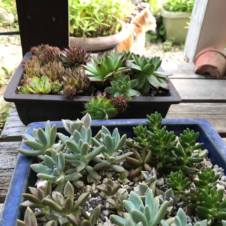 A3cd7fee 622d 4ffb ac10 b8ad5929b9f0