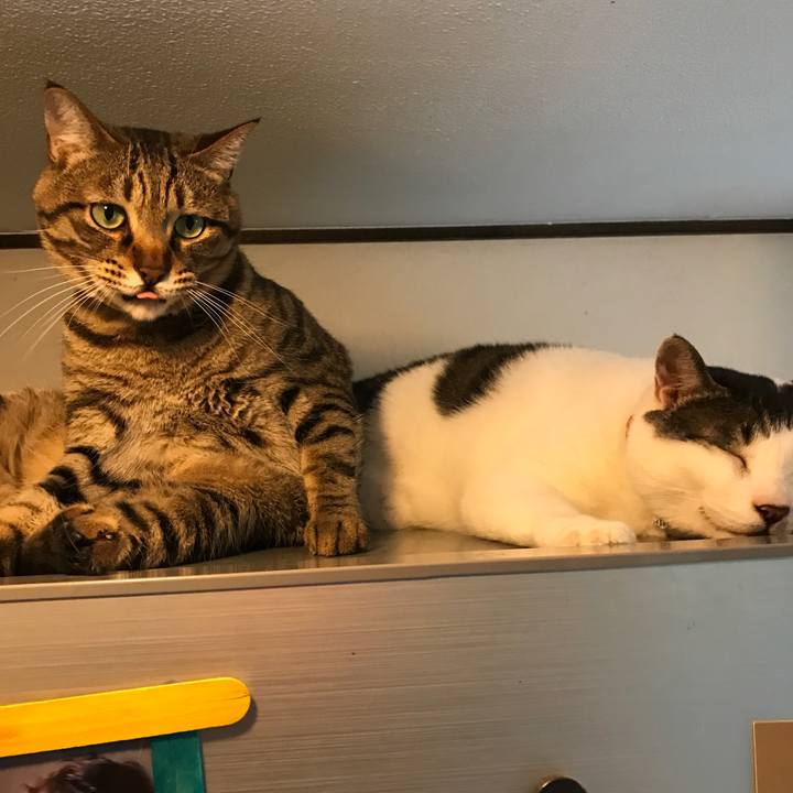 A3cd8218 b333 42b9 bafd a11d04d33a25