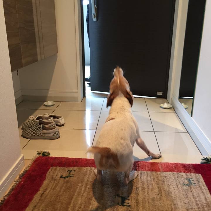 A3cdb234 a90a 4d0b b597 696595da05db