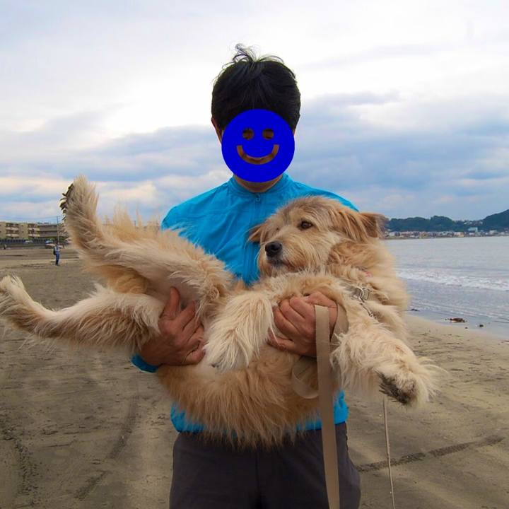 A3cdf406 d40c 4e6b b50c c7f3df0e42c0