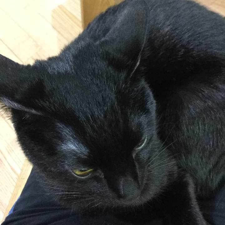 A3ce1016 d6f9 4942 8559 6690b1f4aebd