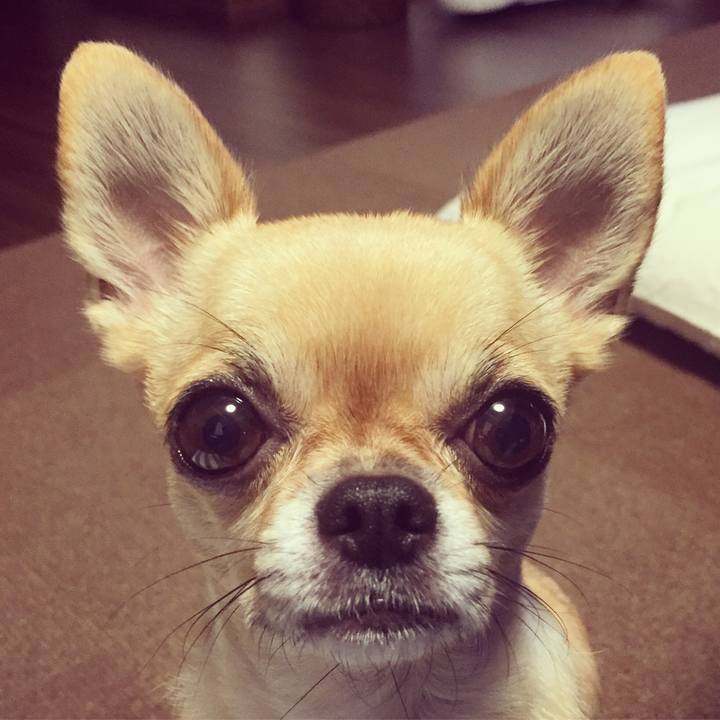 A3cf0f5e 9aa0 4ef1 b421 dfda9d6bb5af