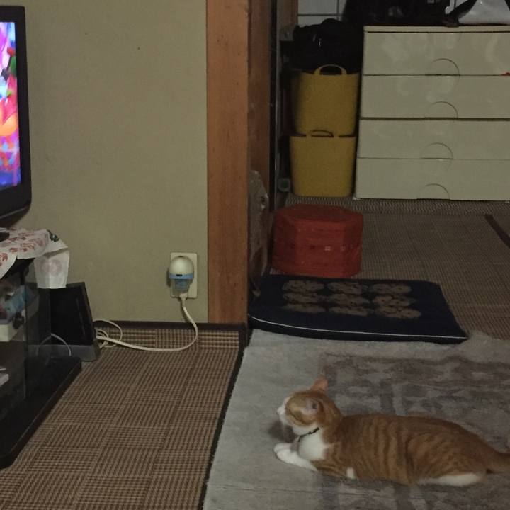 A3cf4d8e e521 4d6b 8597 981657afdd8c