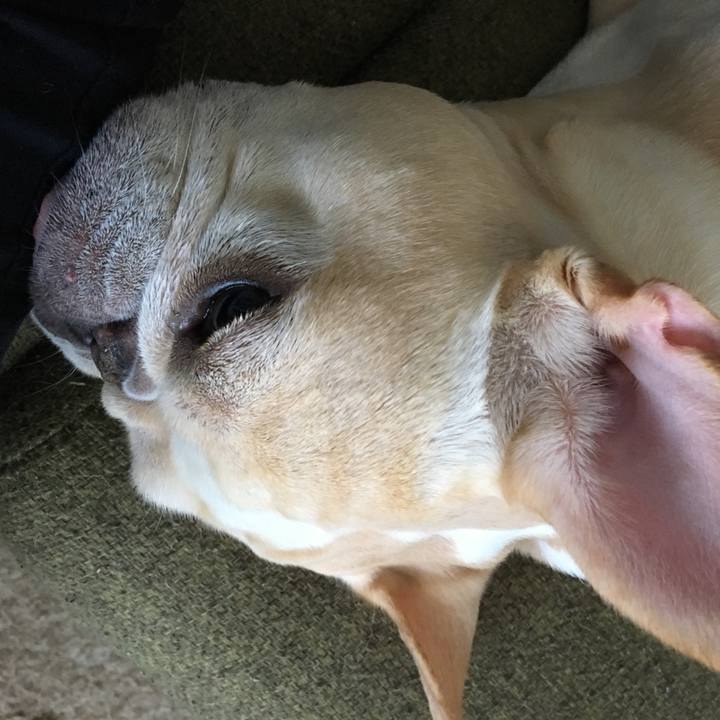 A3d07d61 d766 4d8e bca8 c6498b016d45