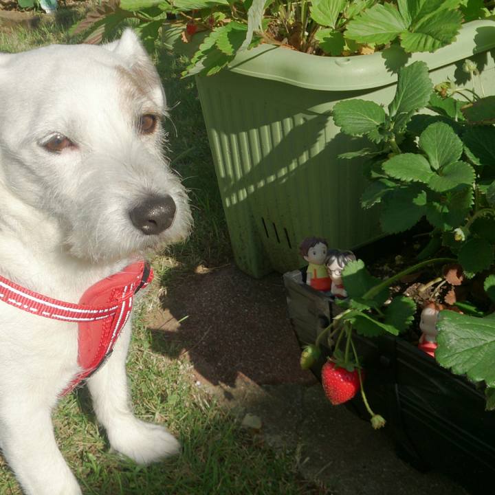 A3d09a58 2aba 4db8 a578 39405514a928