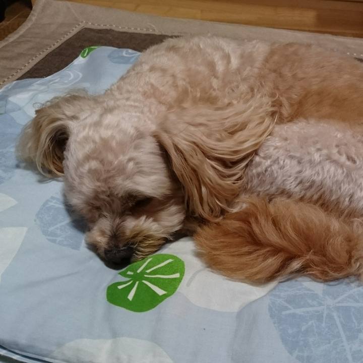 A3d0b4d2 f05e 4594 b677 871350042be1