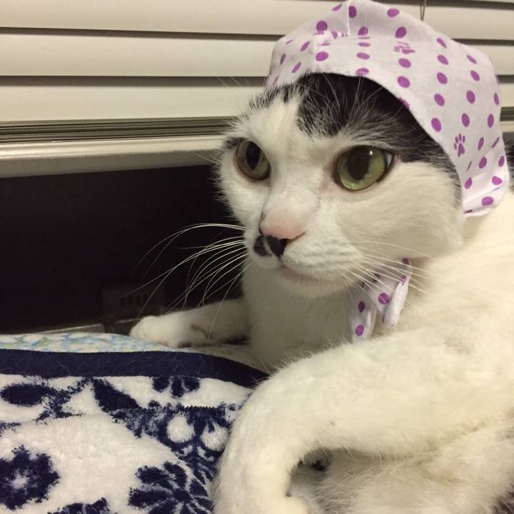 A3d0cb03 e245 471a a759 e9d18ffccb9a