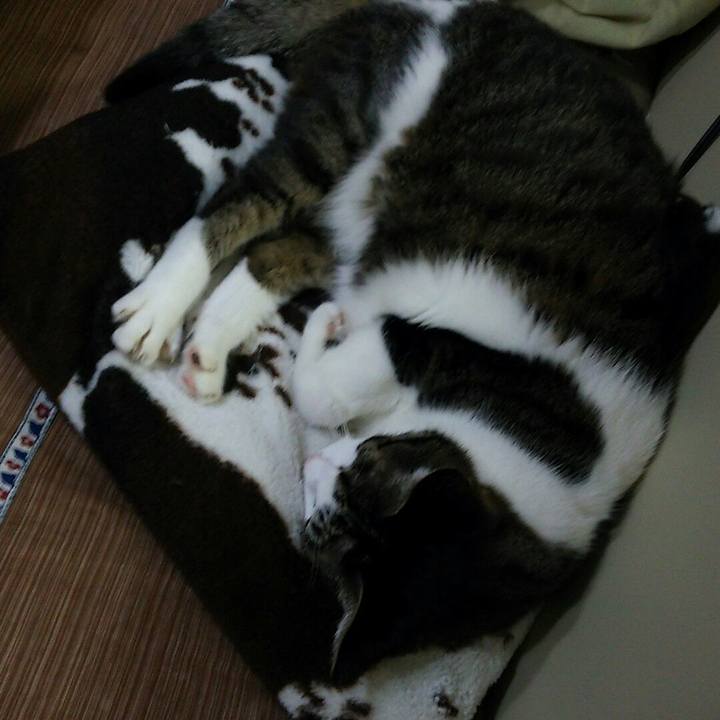 A3d0f98b b057 4594 83db 3ad17689e10a