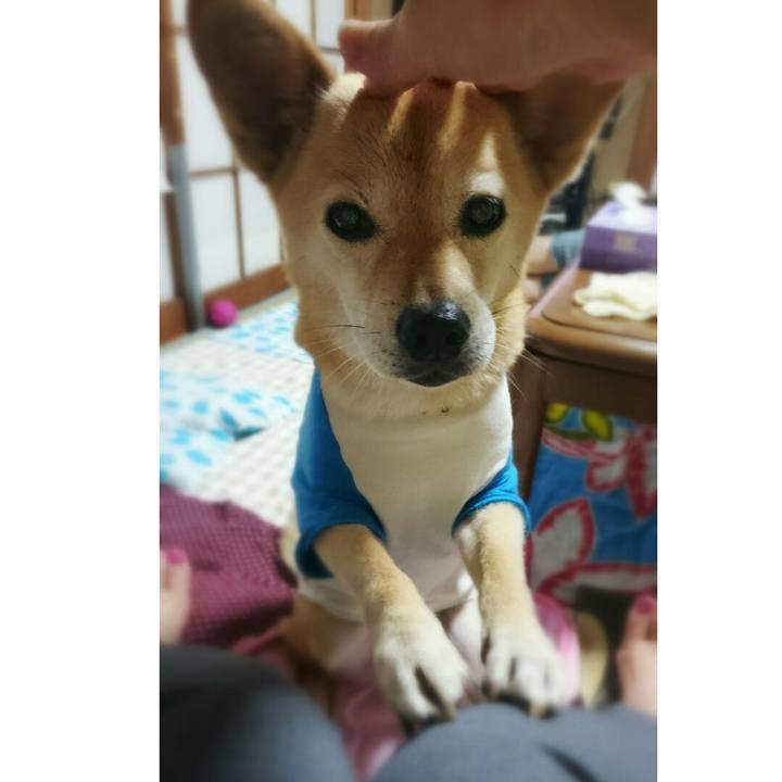 A3d1116a 4b9c 4b8f 8cc5 e5989ef989b3