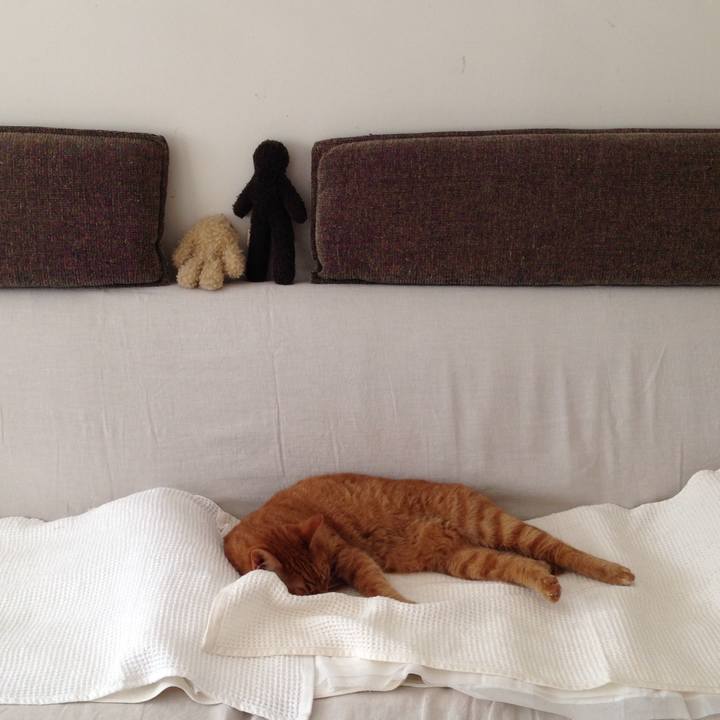 A3d1a421 e604 4a1f 826a 6f36fdb0d916