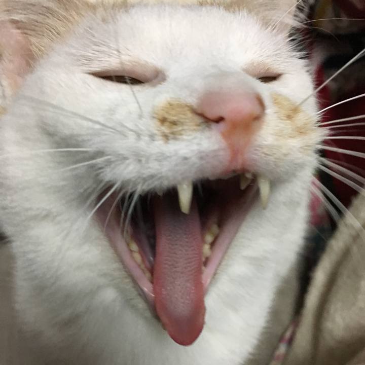 A3d1e2b0 c37d 4ecc bdb8 0b6bb72e0268