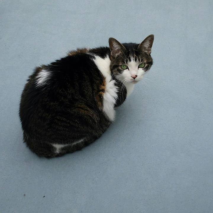 A3d2dc03 3190 4c90 8636 7f9cbc7fcb98