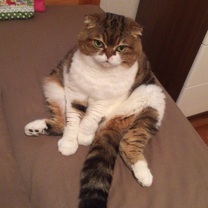 A3d3959f eb78 43d3 a498 4099a5b8563a