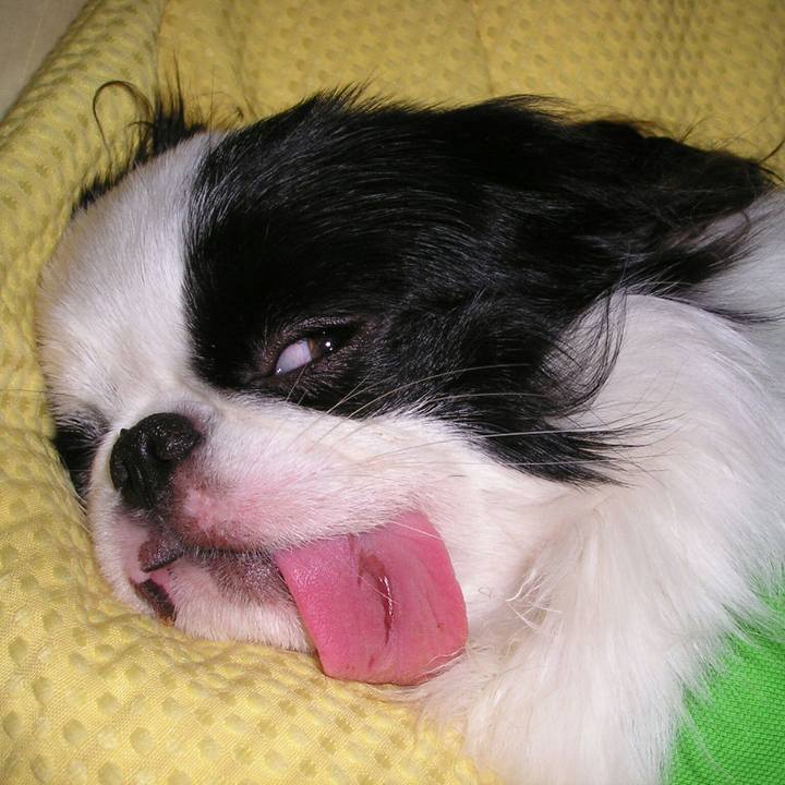 A3d39c41 11c2 4a67 81a4 8f8ab7538fae