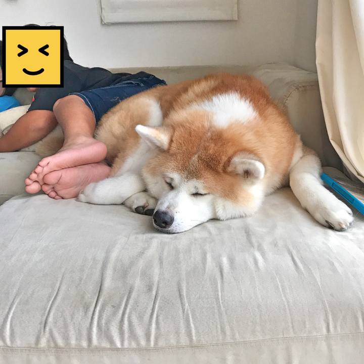 A3d598bc dfb3 4698 842b 37df132d31d3