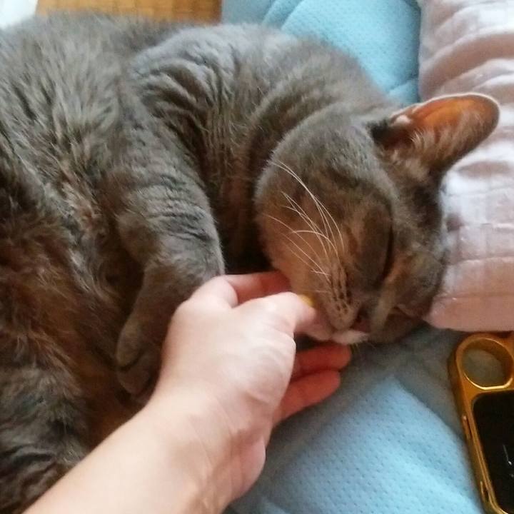 A3d5a758 a39c 429e 869f 20137abffafe