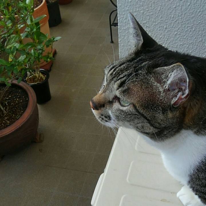 A3d5bb13 ff01 4925 aed1 3c397d5e1e8d