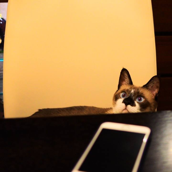 A3d6036d 5868 441a 8133 36520732a2a0