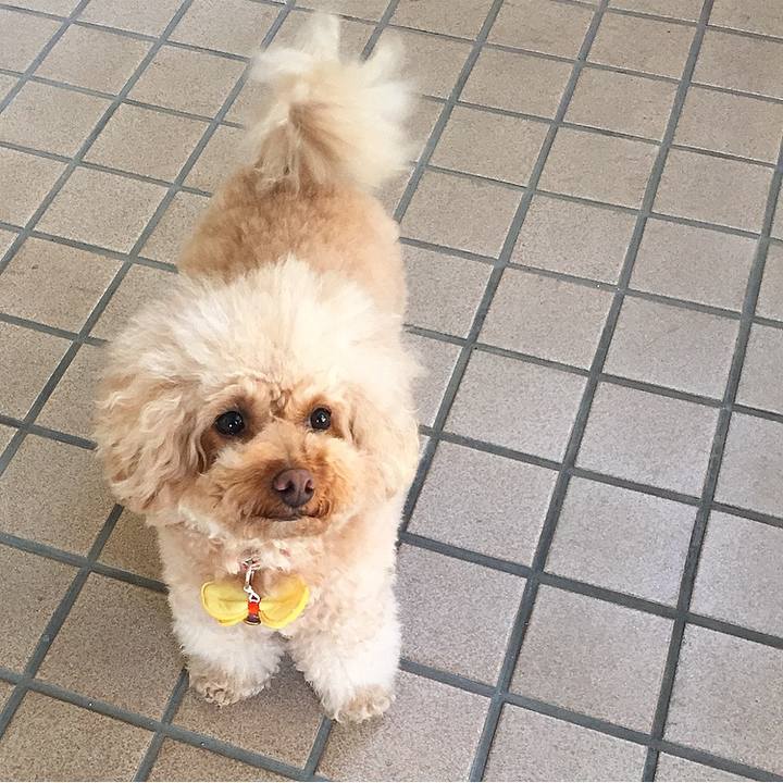 A3d61b31 9fd0 42c3 b094 08c801c4ec20