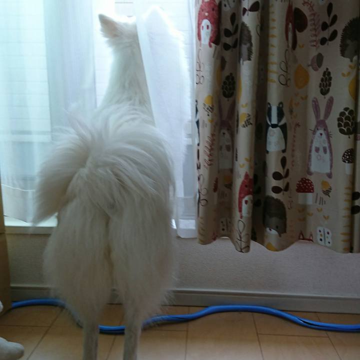 A3d62232 fbe0 462c 9f22 c43c52d8362a