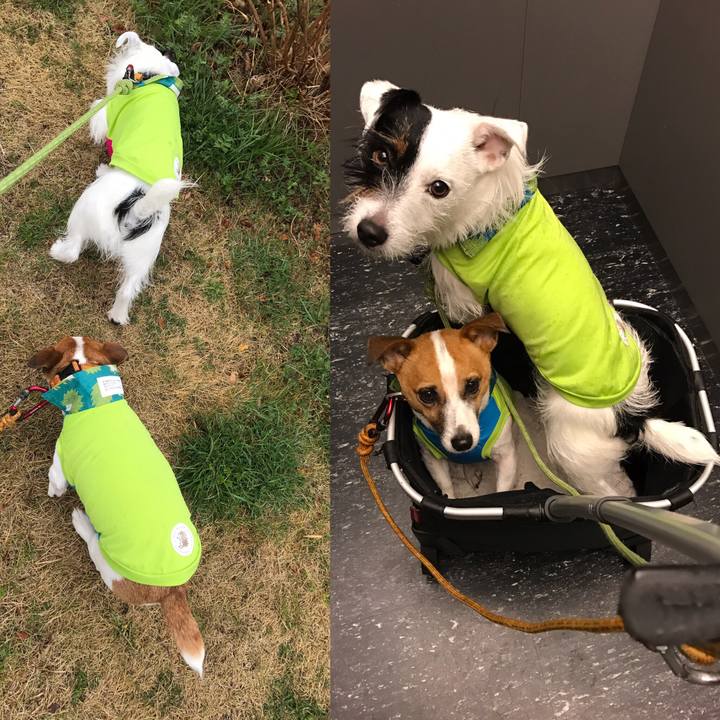 A3d657da 72da 4d60 aa6c 187606dfb5eb