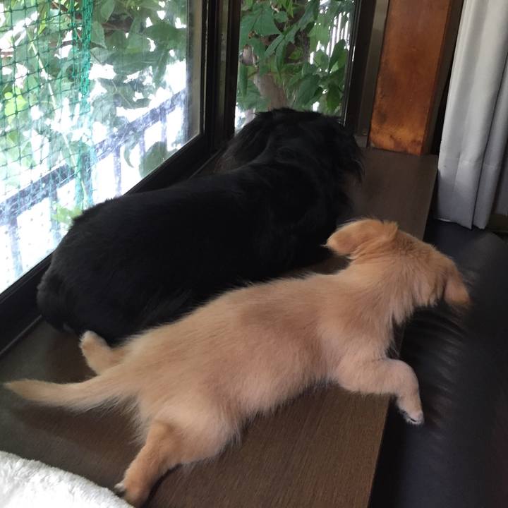 A3d72332 c749 4dec aada 95cb0a141937