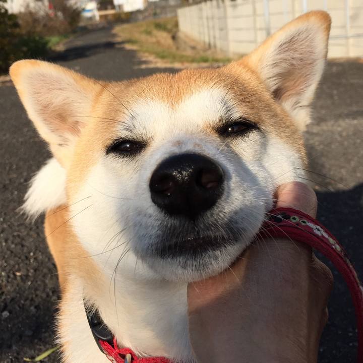 A3d72ed6 e74d 4a44 93c7 8fe5f1075fc4