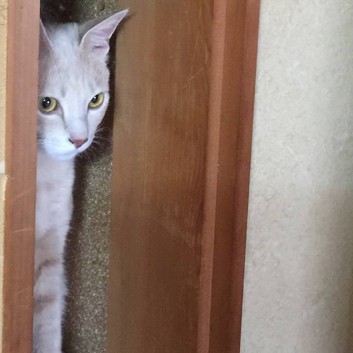 A3d7bc77 6be8 40ee b774 bf64be34d1df