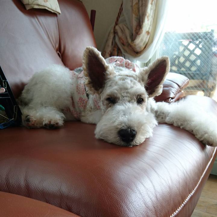 A3d85a4c e0d7 4004 b2ea 9ef515cd521b