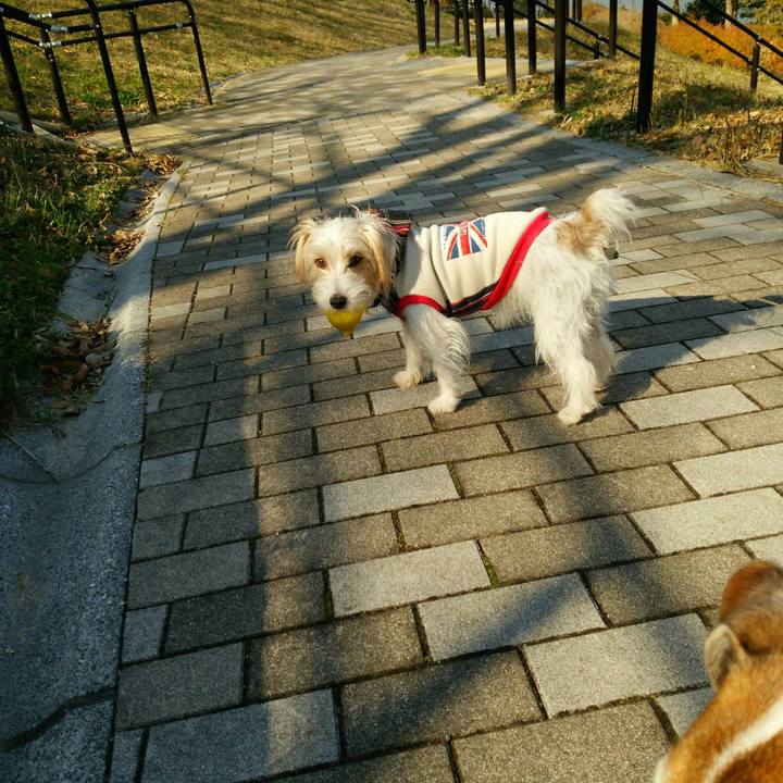 A3d86223 412b 43f3 8c26 8d598943fd83