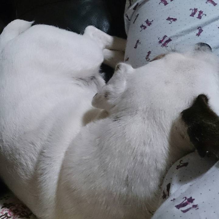 A3d87e74 f60c 4b2f 9a86 5a38df00f471